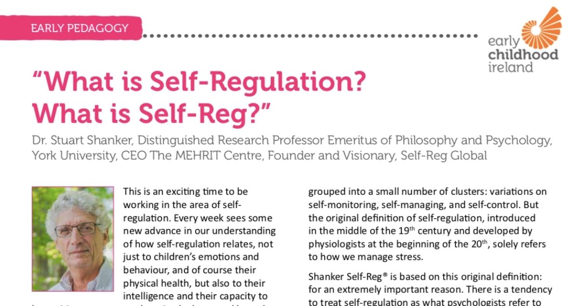 Self-Reg in Ireland