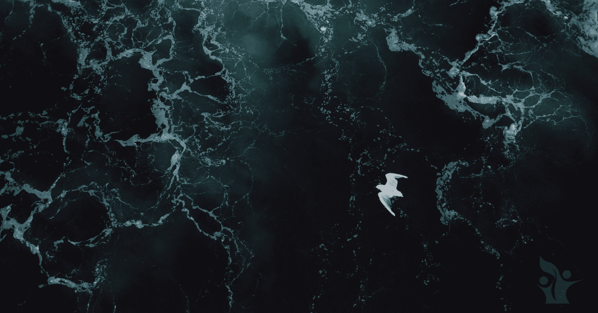 Photograph of a white seagull flying over a dark ocean with choppy waves