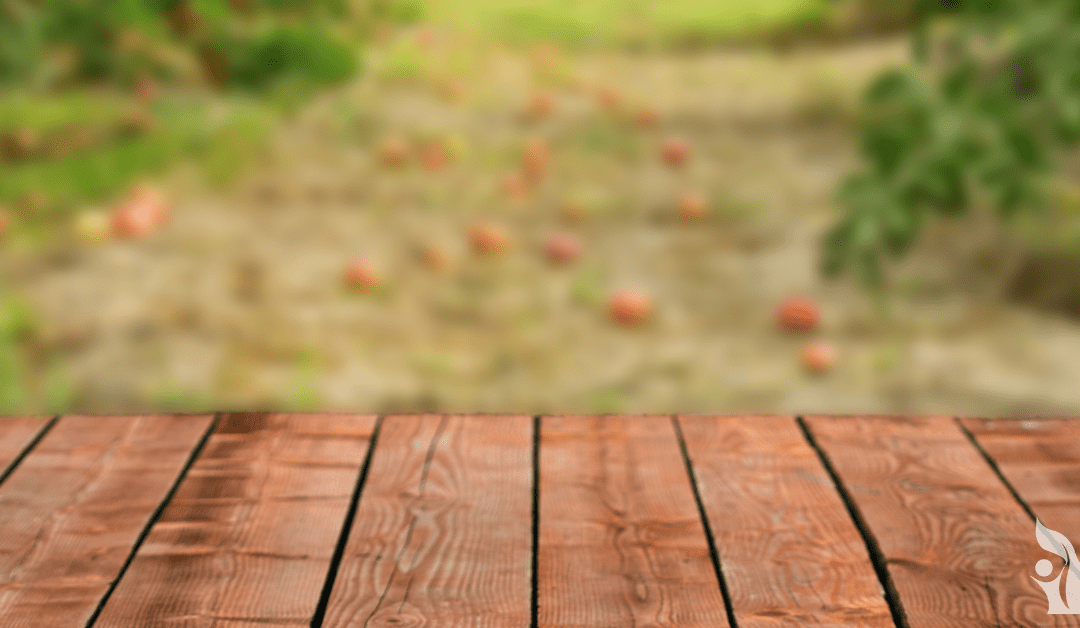 Self-Reg First? What Are Some Of Your Self-Reg Decisions?