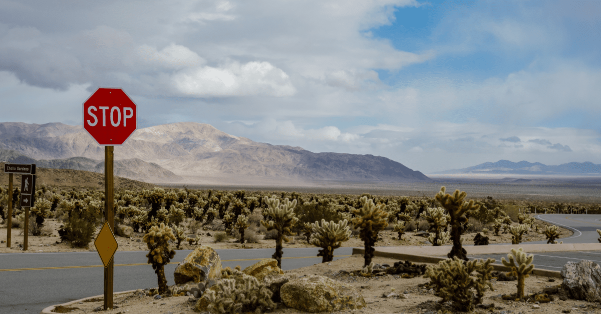 Desert filled with low spiky trees with a stop sign by the road and a mountain in the distance