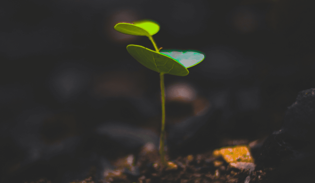 From Experience to Wisdom: Unveiling Our Toolkit