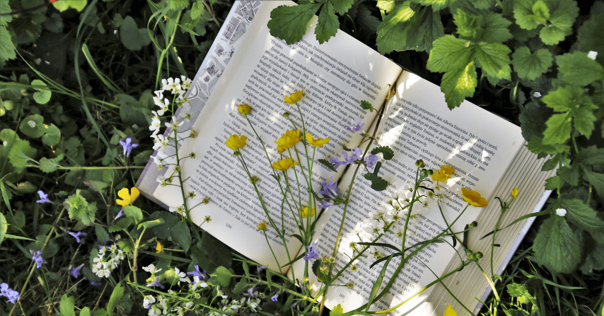 photo of a book in some tall grass with flowers laying on the pages