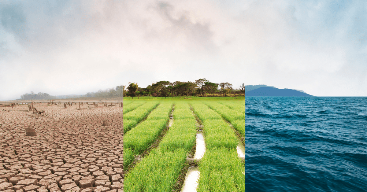 A natural scene with 3 panes showing the scene in a drought, with lush green fields and submerged under an ocean
