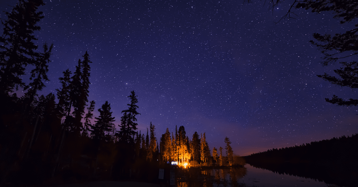 Image of a distant camp with a fire within the trees on a starry night