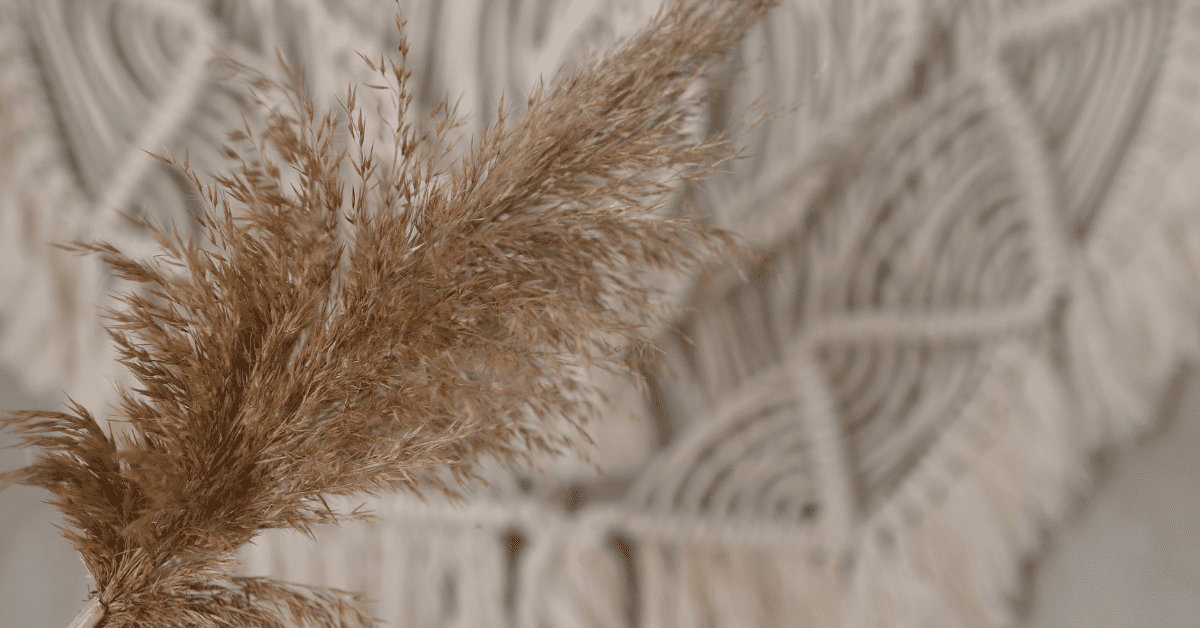 a large plumed feather