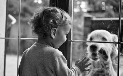 When Overwhelm Makes Everything Feel Final: The Power of Co-Regulation