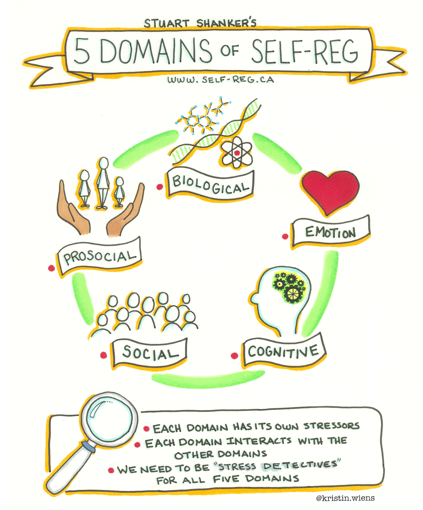 What Are the Five Domains of Stress — illustration from the reference document