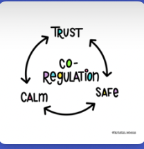 What Is Co-Regulation — illustration from the reference document