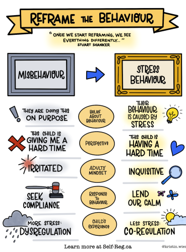 What Does It Mean to Reframe Behaviour — illustration from the reference document
